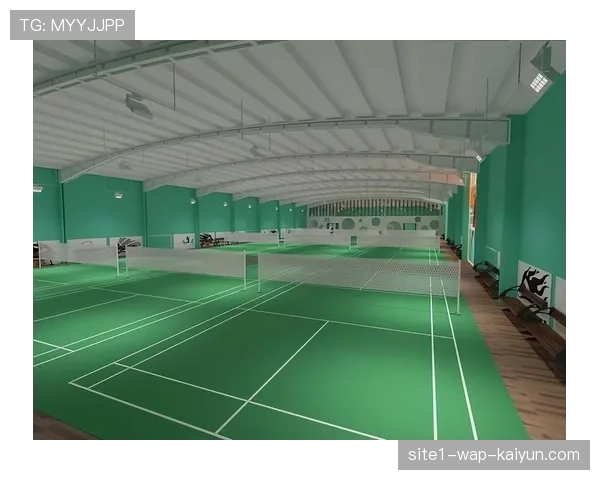 体育营销与公共空间改造相结合 场馆多功能化提升赛后利用率